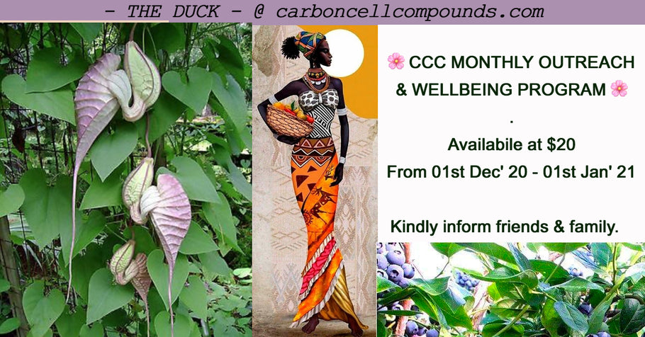 Products 🌿DUCK FLOWER PLANT (Country Origin. Jamaica). MONTHLY OUTREACH & WELLBEING PROGRAM 🌸🌸 – DUCK FLOWER at $20 FROM 1 Dec 2020 - 1 Jan 2021 - 🌸🌸