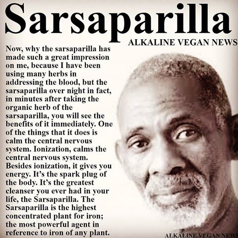 🌿SARSAPARILLA