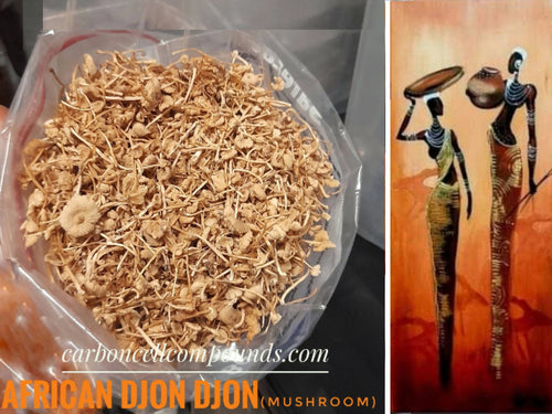 AFRICAN Djon Djon Mushroom (Origin. Nearest to Nile River) FREE Domestic Shipping - | - FREE Intn'l Shipping (orders up to 99 U.S Dollars) |