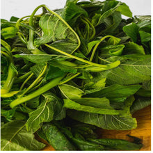Load image into Gallery viewer, 🌿CALLALOO LEAVES (Country Origin. Nigeria / Caribbean)