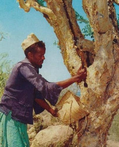 🌿MYRHH TREE RESINS (Origin. Sudan/Ethopia)